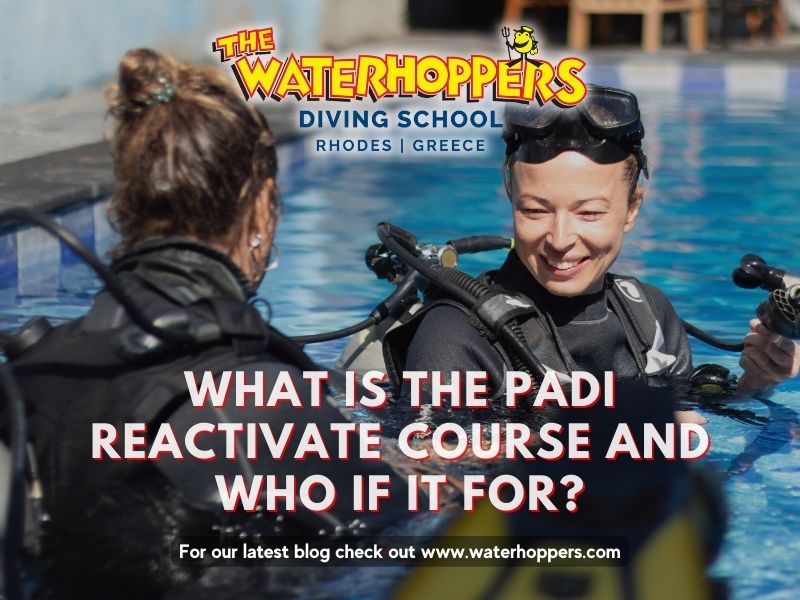 What is the PADI Reactivate course and who is it for